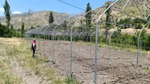 Şırnak’ta sera yatırımları yerinde incelendi