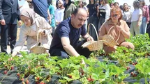 Konya'da Tarımsal Destek Başvuruları Başlıyor