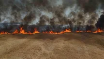 Edirne'de Çiftçi Yangında Zarar Gördü