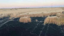 Kulu'da Arpa Tarlasında Yangın Çıktı