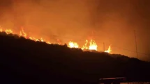 İzmir’de makilik alanda yangın