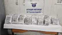 Edirne Kapıkule'de Esrar Ele Geçirildi