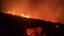 İzmir Dikili'de Yangın Kontrol Altında