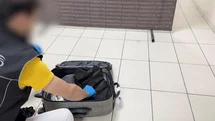Batman’da akıl almaz sevkiyat yöntemi dedektör köpek Mailo’ya takıldı