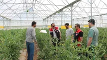 Erzincan'da Seracılık Faaliyetleri İncelendi