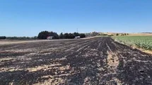 Silivri’de Yangın Çıktı, Ekili Araziler Zarar Gördü