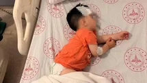 Şanlıurfa'da Sokak Köpekleri Çocuğu Yaraladı