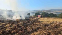 Bandırma'da Tarlada Yangın Çıktı