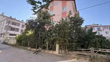 Kastamonu'da Ağaçtan Düşen Emekli Öğretmen Yaralandı