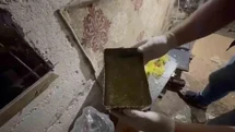 Evde bonzai üretip sattıkları öne sürülen şüphelilere operasyon: 1 tutuklama