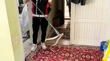 Bartın'da Yılan Paniği Yaşandı