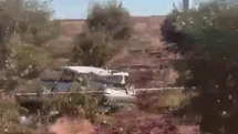 Şanlıurfa'da Otomobil Tarlaya Uçtu