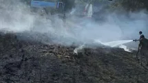 Antakya'da Bahçe Yangını Kontrol Altına Alındı