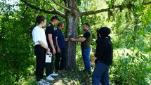 Şehir merkezine yakın köylere kadar inen ayı için Milli Parklar fotokapan kurdu
