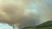 Fransa'da Orman Yangını Felaketi