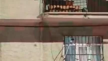 Elazığ'da Pencere Korkuluğunda Yılan Yakalandı