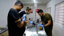 Altıeylül'de Hayvanların Güvenliği Sağlanıyor