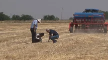 Şanlıurfa’da ’anız yakmadan üretim’ modeli yaygınlaşıyor: Toprak korunuyor çiftçi kazanıyor