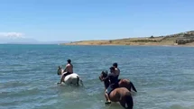 Sıcaktan bunalan gençler atlarıyla Van Gölü’nde serinledi