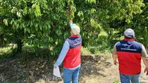 Afyonkarahisar'da Dolu Yağışı Hasar Tespiti