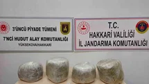 Yüksekova’da 11 kilo skunk ele geçirildi