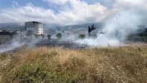 İskenderun'da Ot Yangını Kontrol Altına Alındı
