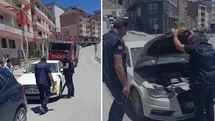 Hakkari'de Yavru Kedi Kurtarıldı