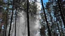 Kastamonu'da Orman Yangını Kontrol Altına Alındı