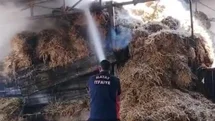 Reyhanlı'da Samanlık Yangını Kontrol Altına Alındı