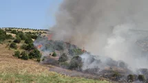 Manisa'da Yangınlar Kontrol Altında Tutuldu