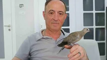 Sivas'ta Kumru Dostluğu