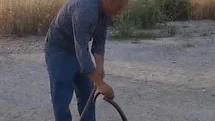 Malatya'da Yılan Yakalama İhalesi