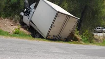 Alanya’da kamyonet ağaca çarptı: 1 ölü, 1 ağır yaralı