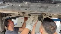 Osmaniye’de otomobilin motoruna sıkışan yavru kedi kurtarıldı