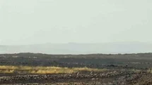 Mardin'de Anız Yangını Kontrol Altına Alındı