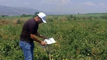 Aydın'da Tarım Saha Denetimleri Yapıldı