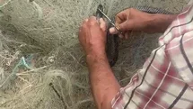 Hatay'da Yılan Kurtarma Anı