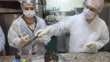 Manisa’da sıcaklar arttı, gıda kontrolleri sıklaştı