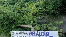 Eski Belediye Başkanından Örnek Davranış