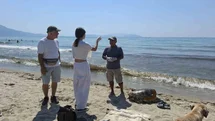 Aydın'da Üç Caretta Caretta Ölü Bulundu