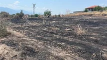 Manisa'da Otluk Yangını Kontrol Altına Alındı