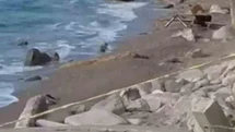 Filyos Sahili'nde İHA Olayı