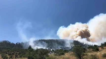 Balıkesir Kepsut'ta Orman Yangını Çıktı