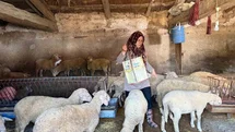Eskişehir'de Vahşice Öldürülen Adamın Eşi Çocuklarına Bakıyor