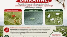 Aydın'da Pamuk Üreticilerine Uyarı Geldi