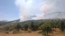 Diyarbakır'da Ağaçlık Alanda Yangın Başladı