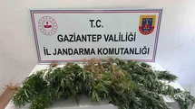 Gaziantep'te Uyuşturucu Operasyonu Yapıldı