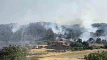 Balıkesir'de Orman Yangınına Müdahale Devam Ediyor