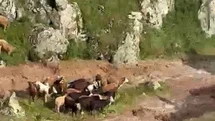 Kağızman'da Sel Felaketi Yaşandı