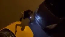 Esenyurt'ta Eli Silahlı Adamın Olayı